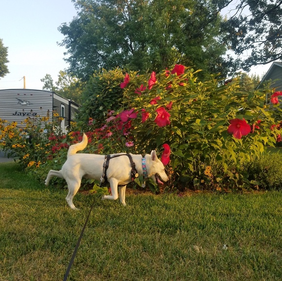 Meet your Posher, Cynthia - Picture 2 of 9